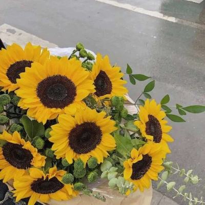 购彩中心下载手机版