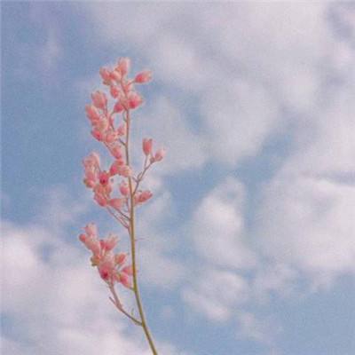 注册就送38的平台