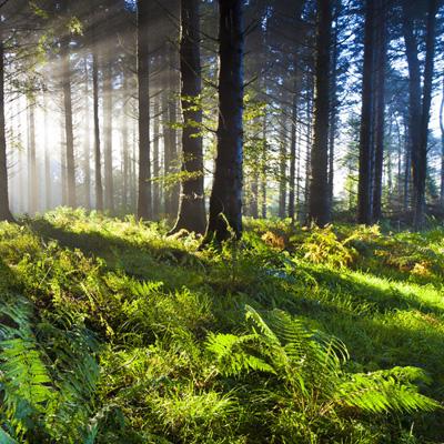好彩网手机app下载