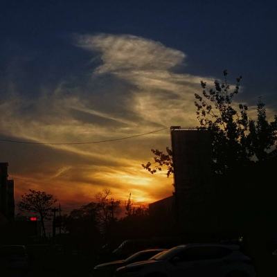 ayx体育在线登录下载手机版