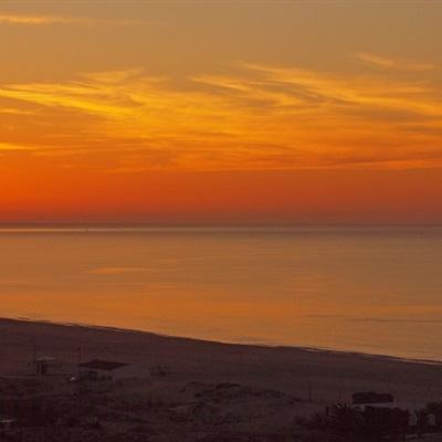 乐虎国际下载手机版